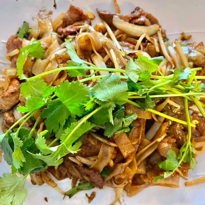 Vietnamese stir-fried noodles with beef, onions, bean sprouts, and fresh cilantro on a white plate.